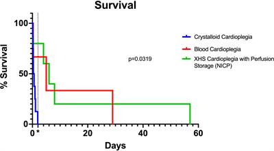 Blood Cardioplegia Induction, Perfusion Storage and Graft Dysfunction in Cardiac Xenotransplantation